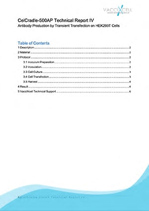 Antibody Production by Transient Transfection on HEK293T Cells